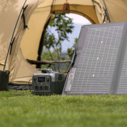 chargeur alternateur ecoflow Batterie portable 1000w