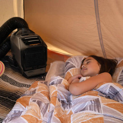 Climatiseur portable ECOFLOW WAVE 3
