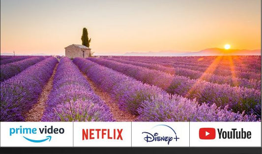 Tv 24" EQUINOXE Smart Connecté Google officiel